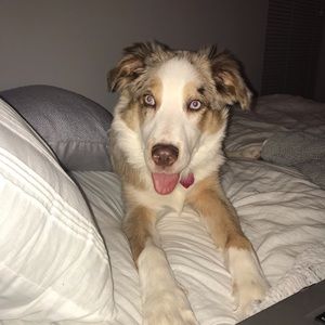 Meet your Posher, Madeline